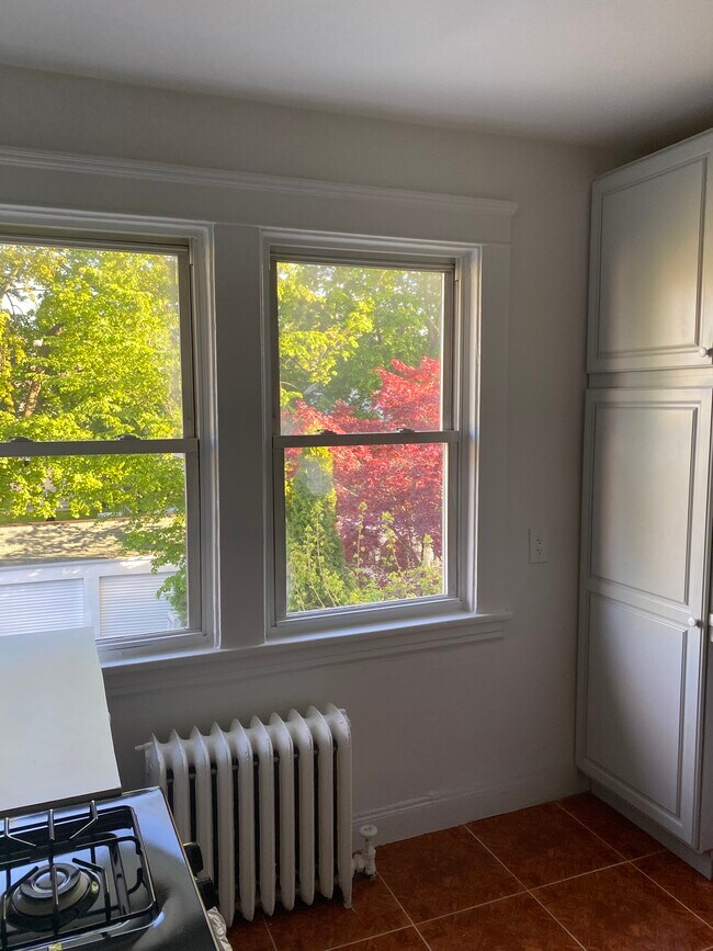 Building Photo - 110 Chauncey Ave