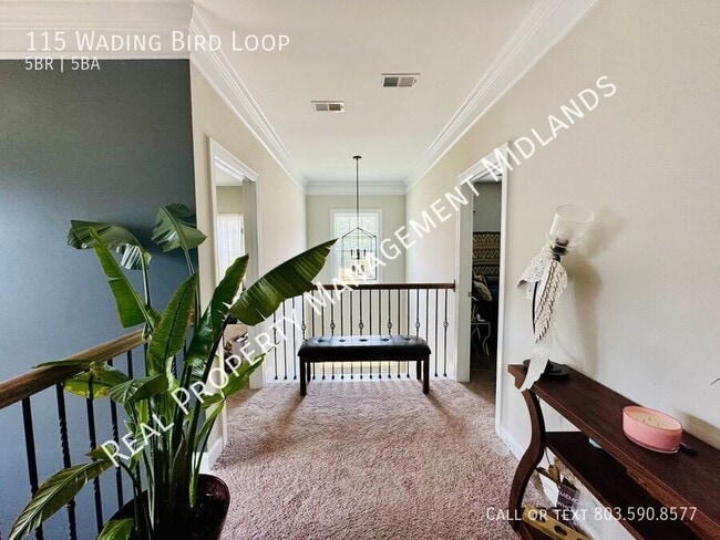 Building Photo - 115 Wading Bird Loop
