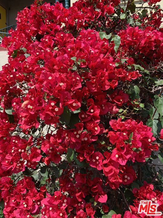 Building Photo - 8673 W Olympic Blvd