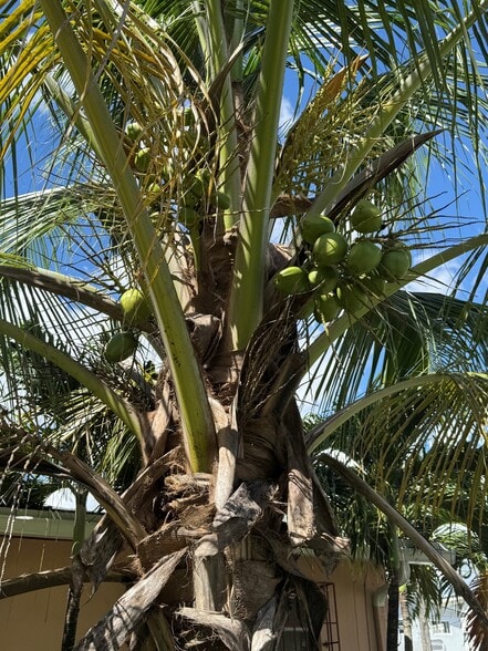 Landscape - 662 NE 132nd St