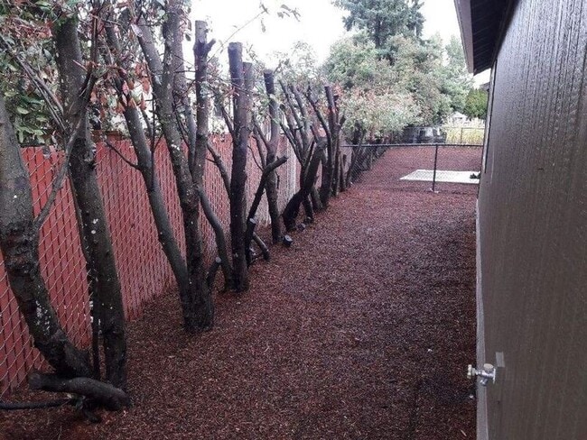 Building Photo - 201 La Casa St