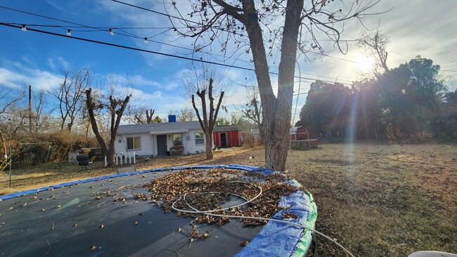 Large back yard with 12 grown pecan trees irrigation rights - 308 Stewart Dr