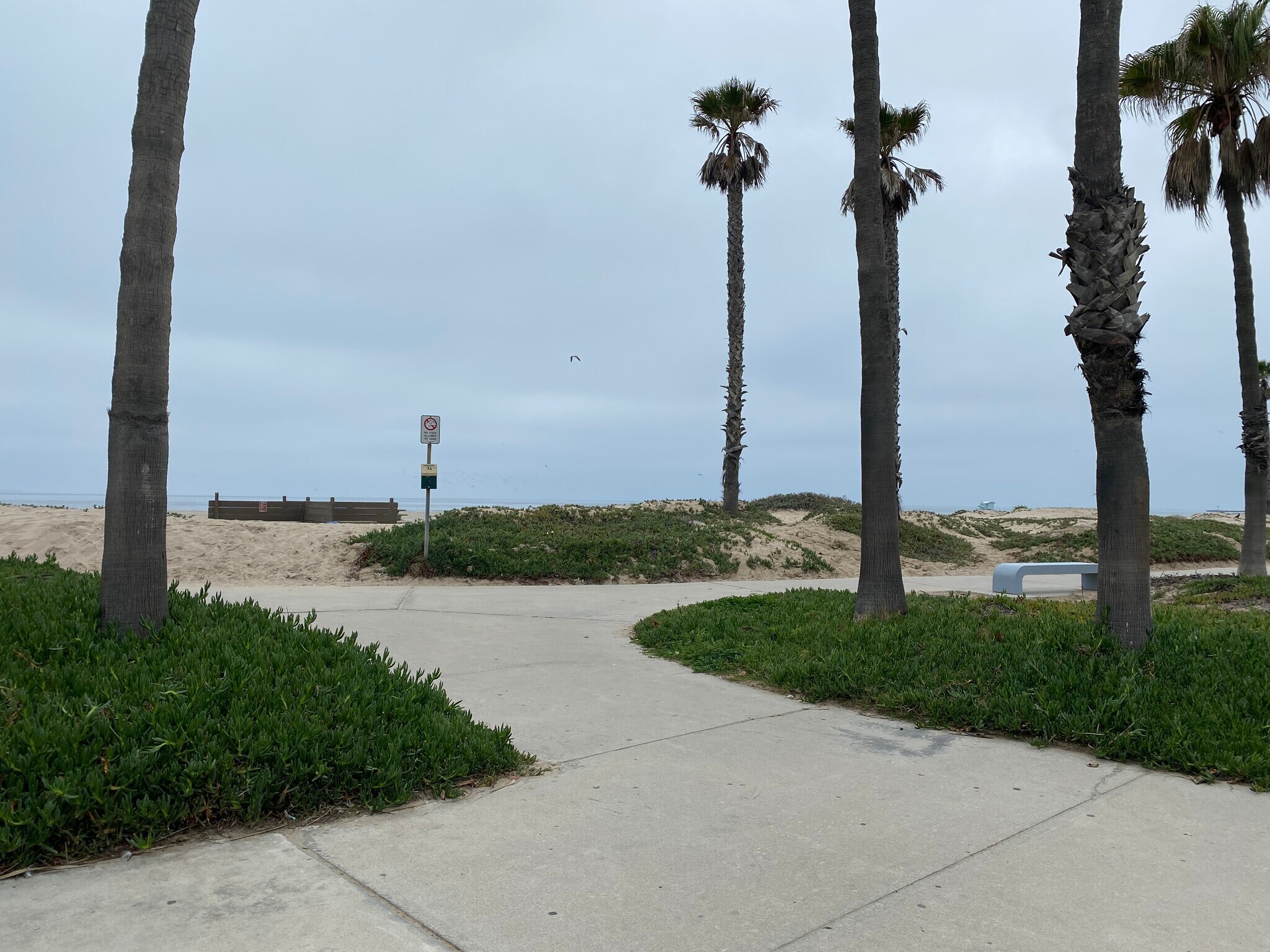 Building Photo - 383 E Surfside Dr