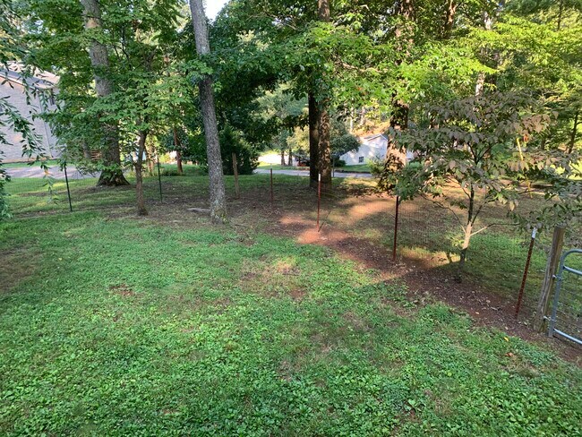 Fully fenced yard - 247 Lakeview Ln