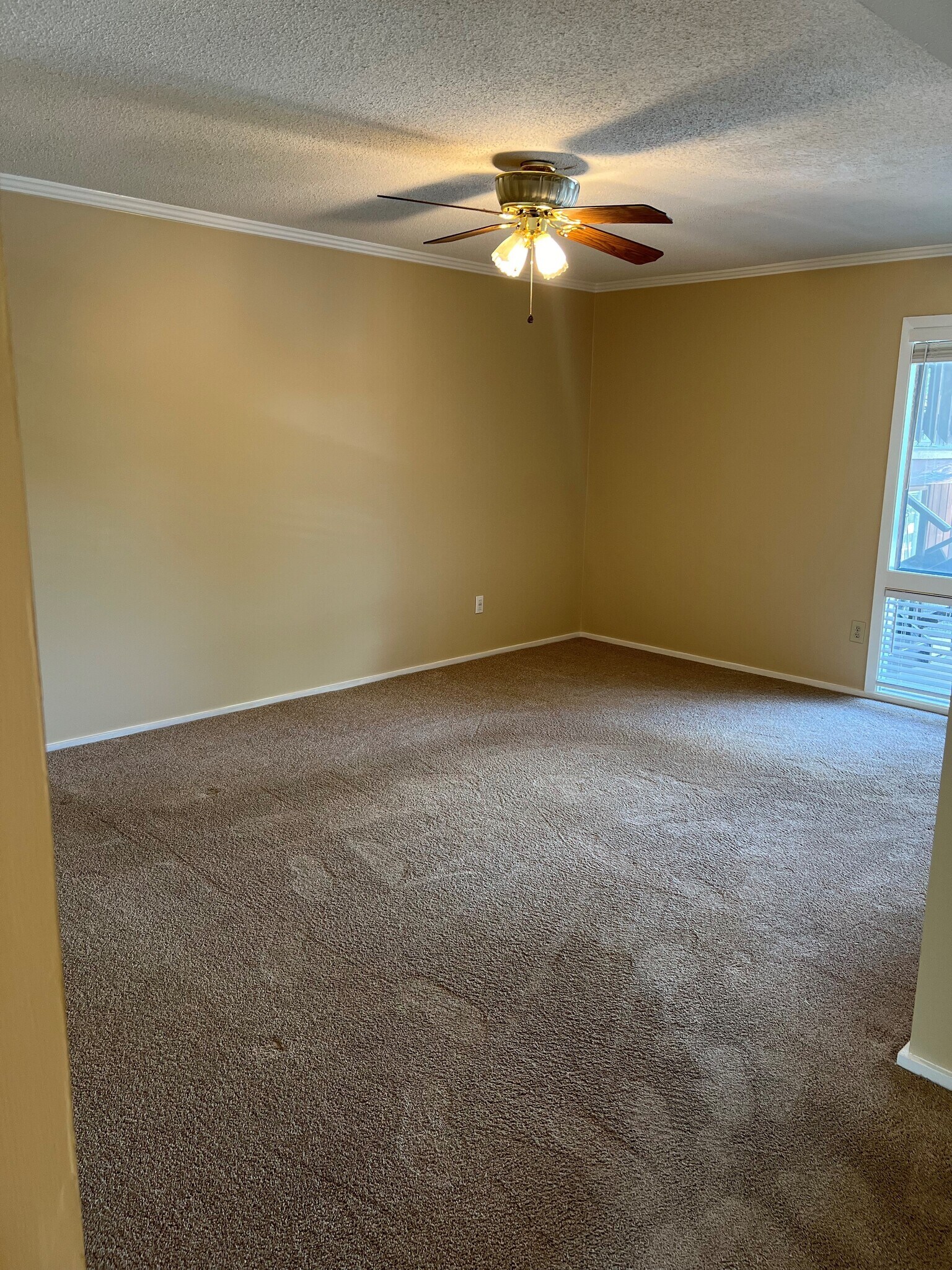 Bedroom #2 - 311 W Earle St
