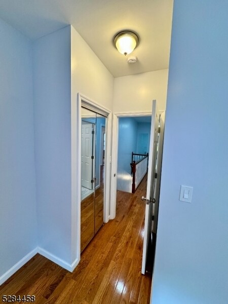 Building Photo - 47 Burnet St