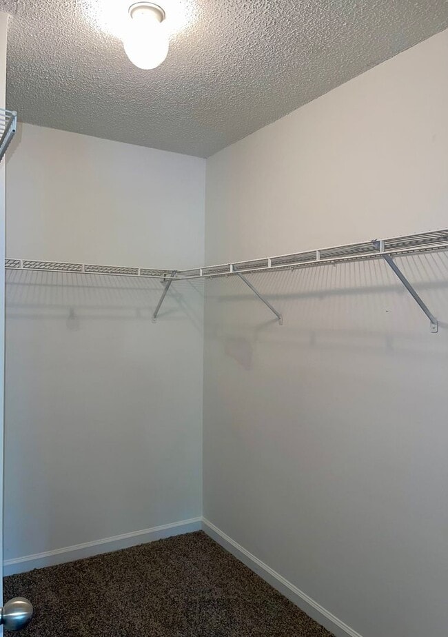 Building Photo - Updated, Spacious Brick Ranch in Great Neighbrorhood!