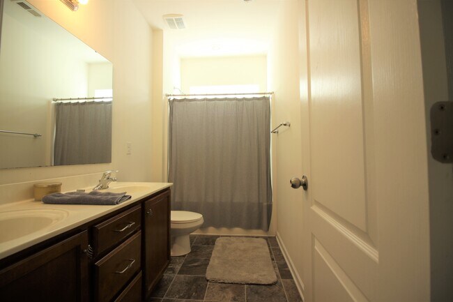 Building Photo - 10519 Royal Winchester Dr