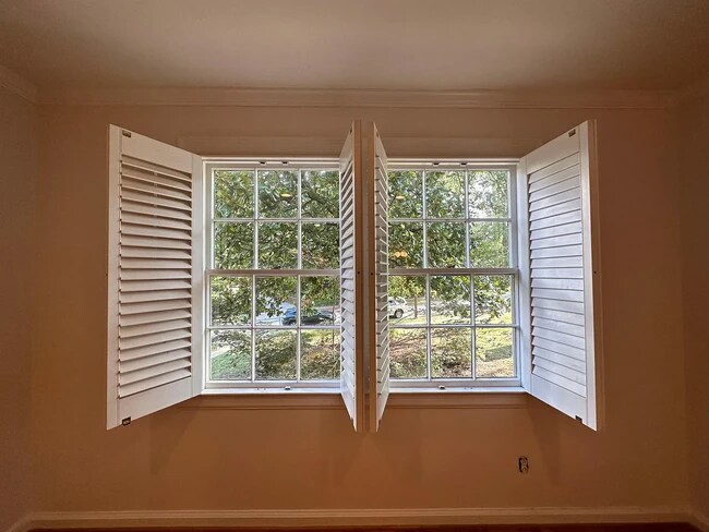 plantation shutters throughout the unit - 108 Colville Rd