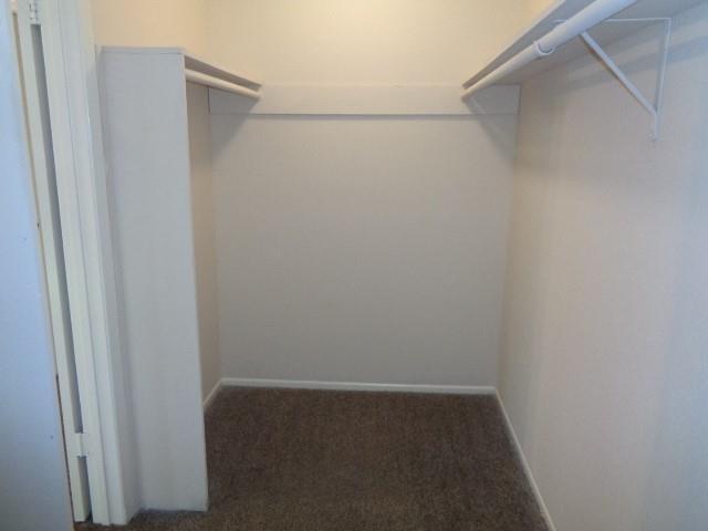 Building Photo - 4903 Tealgate Dr