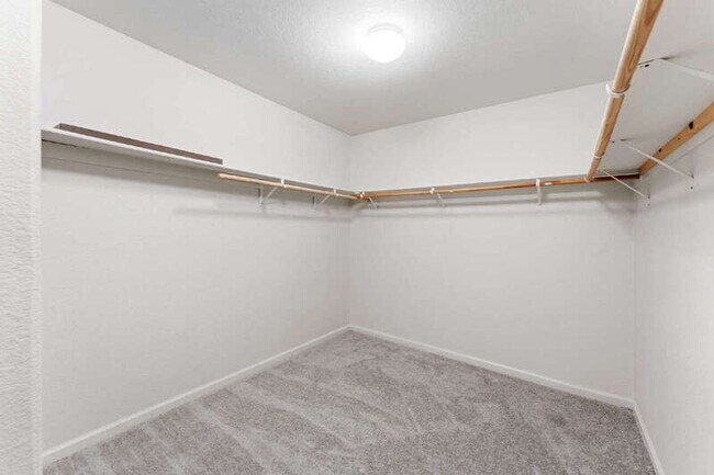 Building Photo - 8828 Billfish Way