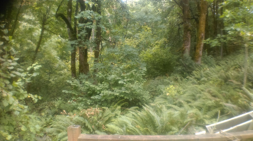 Woods in back - 11942 SE Lexington St