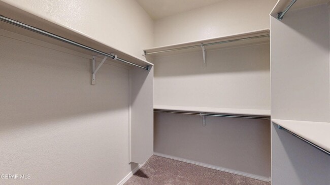 Building Photo - 12613 Cono Norte Dr