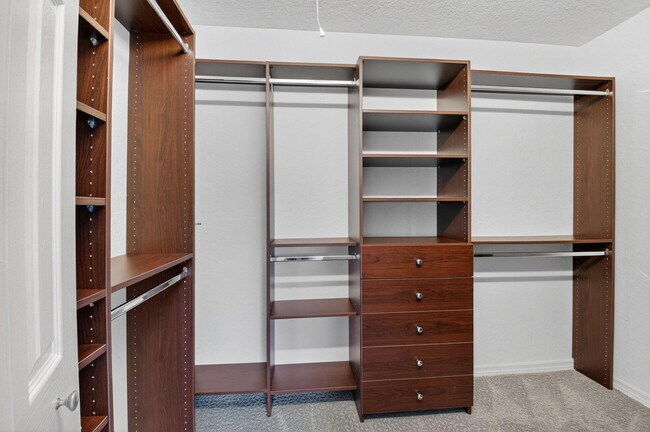 Building Photo - 11119 Blue Coral Dr