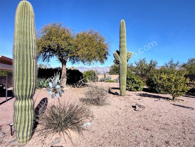 Building Photo - 3 Bedroom, 2 Bathroom Home in East Tucson.