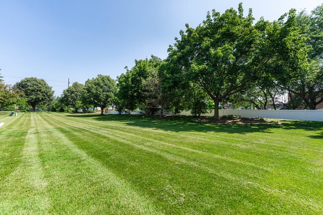 Building Photo - 1217 Cranbrook Dr