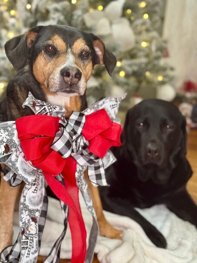 Building Photo - Gift yourself free application fees for this 1st Floor Immaculate 1 bedroom for rent in Sunny Myr...