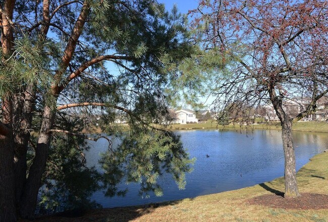 Building Photo - 7311 98th Ave