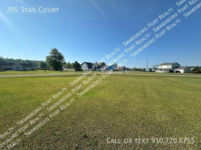 Building Photo - 205 Stag Ct