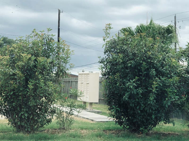 Building Photo - 2601 Leary Ln