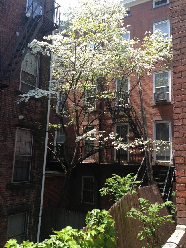 Building Photo - 95 Olive St