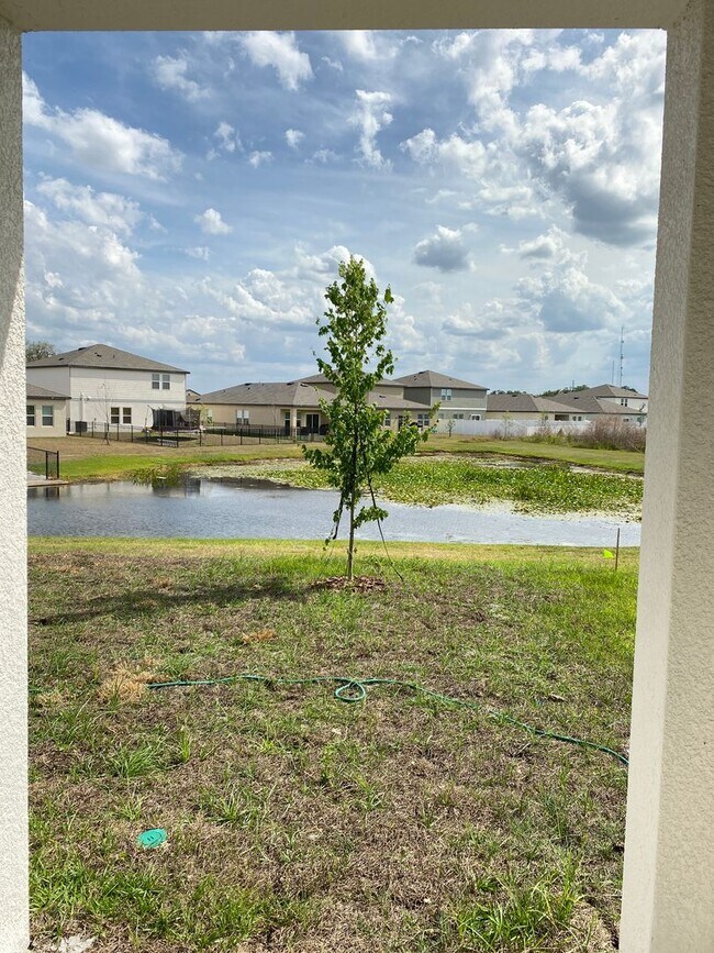 Building Photo - 35606 Buttonweed Trl