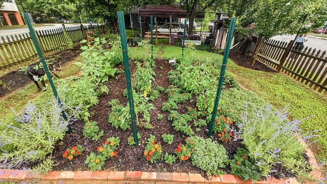 Building Photo - 2be/1ba House in the Heart Of Carrboro with Gym & Sauna