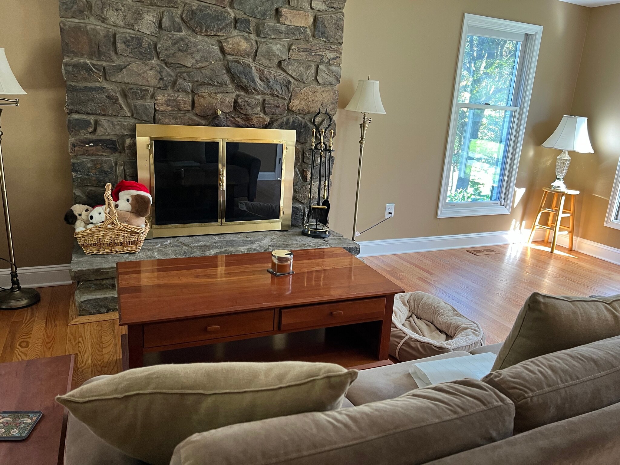 Living Room - 7413 Skyline Dr