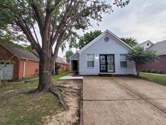 Building Photo - 317 Avery Jordan Cove