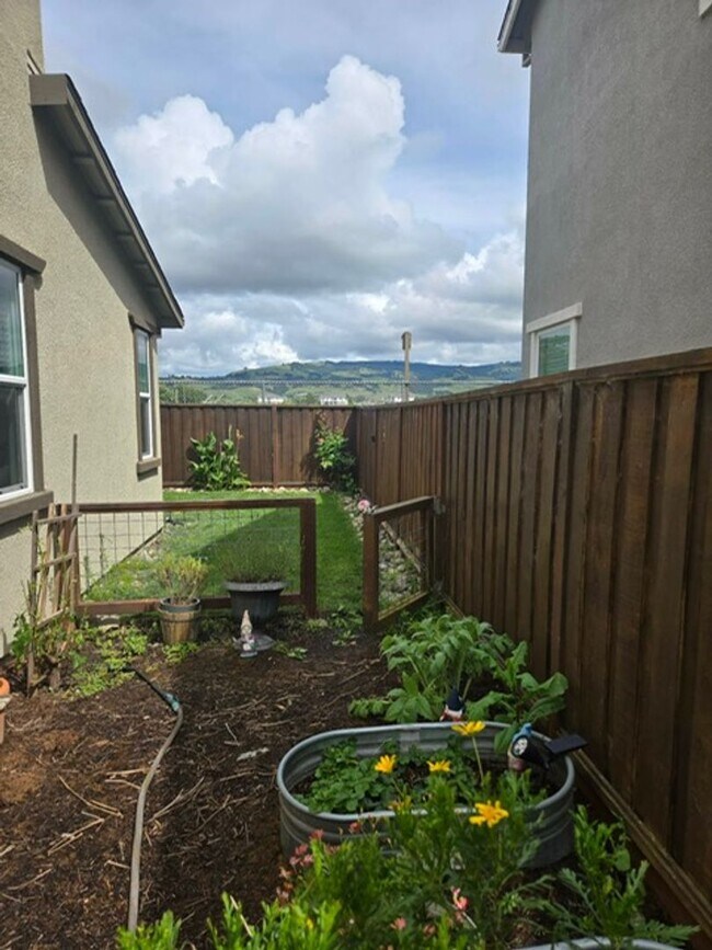 Building Photo - 3 Bed + Bonus Room/2.5 Bath - Solar – Near SSU