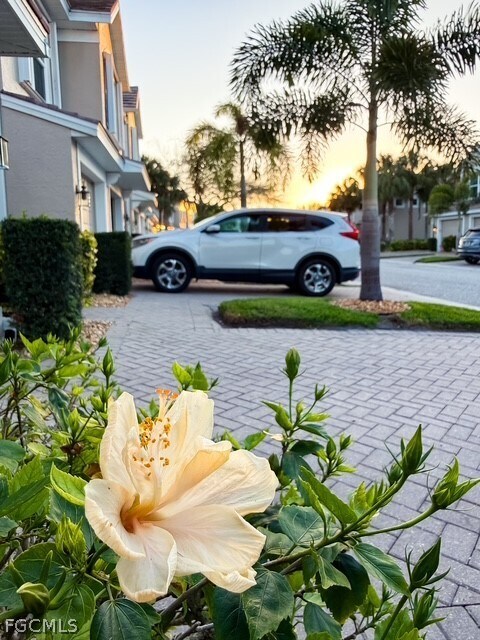 Building Photo - 2616 Somerville Loop