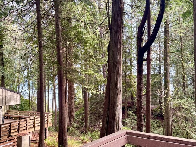 Building Photo - Come live in this quiet corner of Harstine Island!