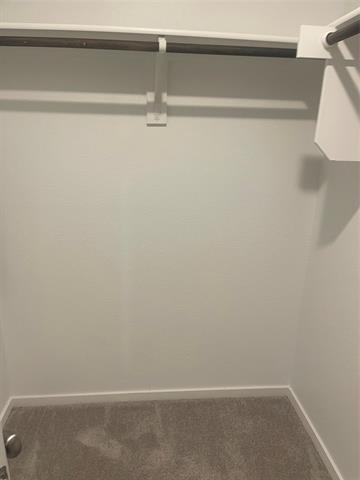 Building Photo - 427 Bower Dr