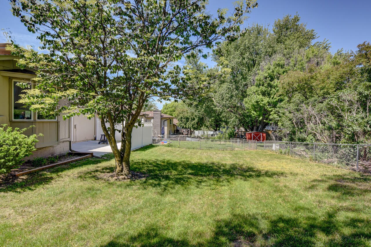 Backyard - 11680 Meredith Ave