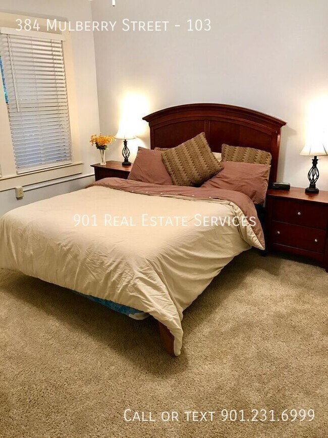 Building Photo - 384 Mulberry St