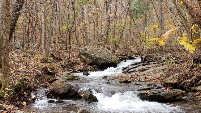 Stream in Winter - 793 Clifton Trl