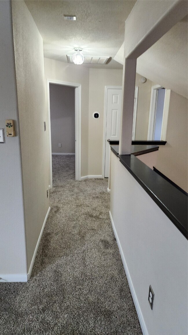 Building Photo - 3911 Falvel Cove Dr