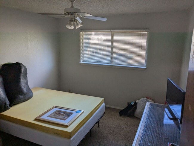 Building Photo - 3 Bed 2 Bath Home - Park Access