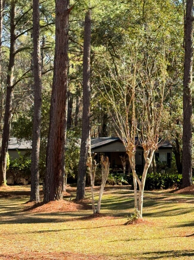 Building Photo - 4359 Maylor Rd