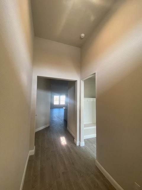 Building Photo - 2705 Starling St