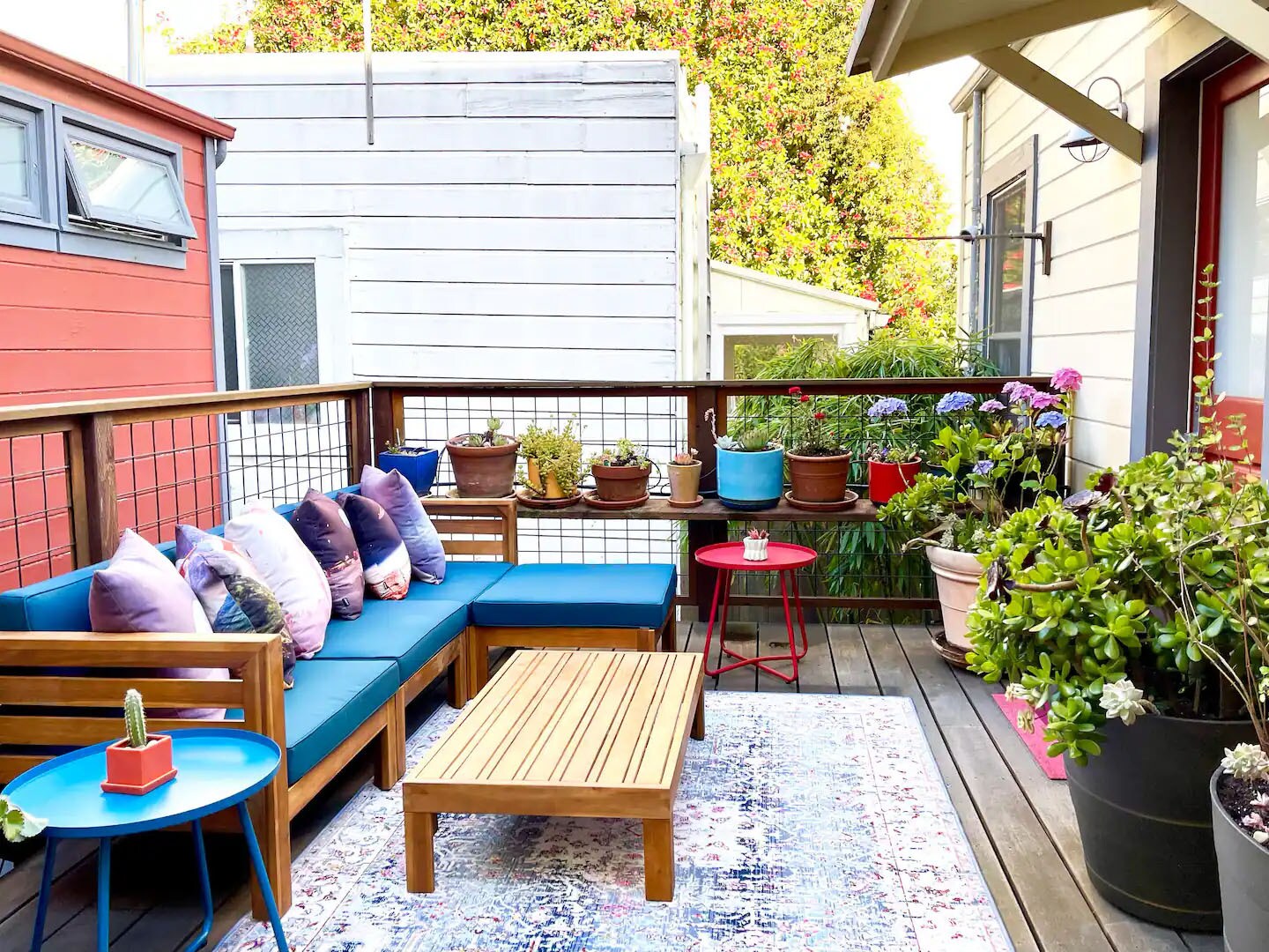 Private, plant-filled sun deck with a lemon tree, jade plants, succulents, lavender, and flowers - 328 Harriet St