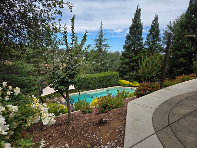 Building Photo - 5 Bdrm, 4 bath home located in Highland View Community off Silva Valley