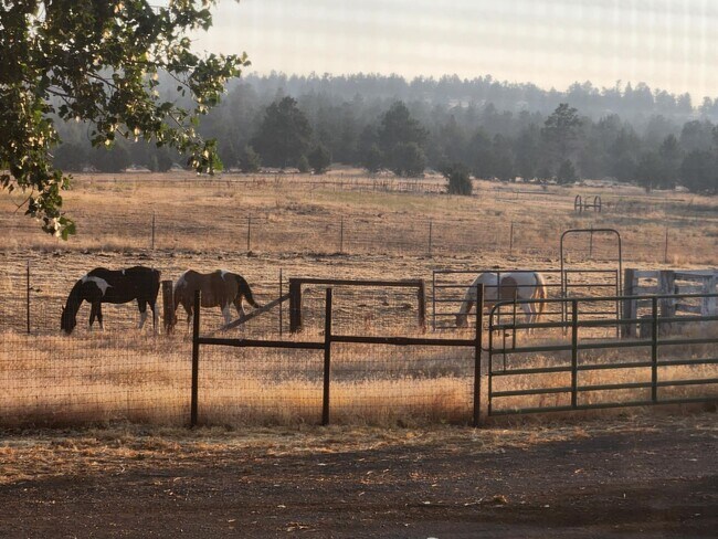 Building Photo - 23131 N Poe Valley Rd