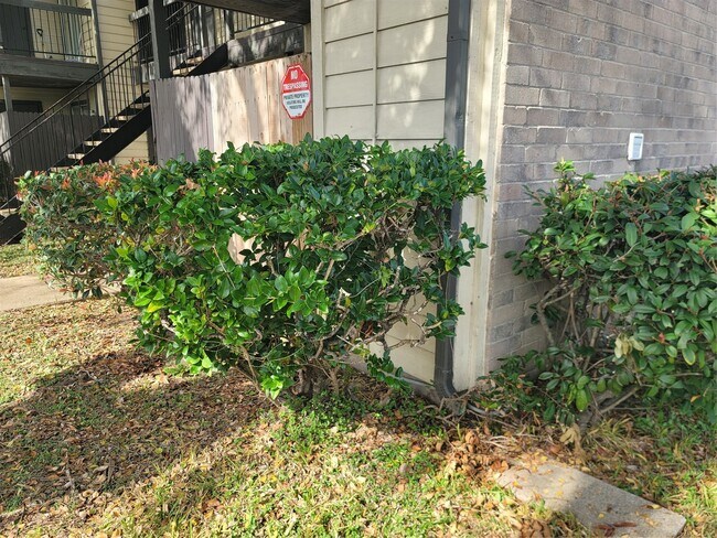 Building Photo - 12615 Brookglade Cir