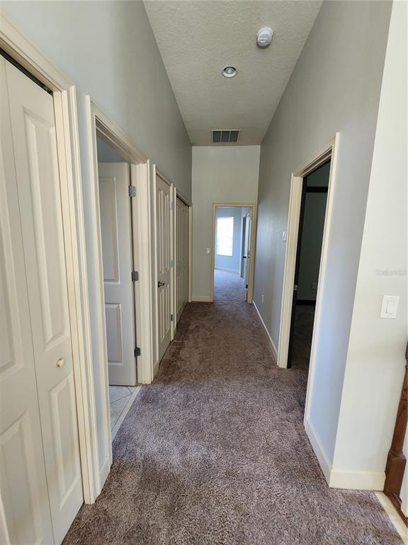 Building Photo - 3348 Cat Brier Tr