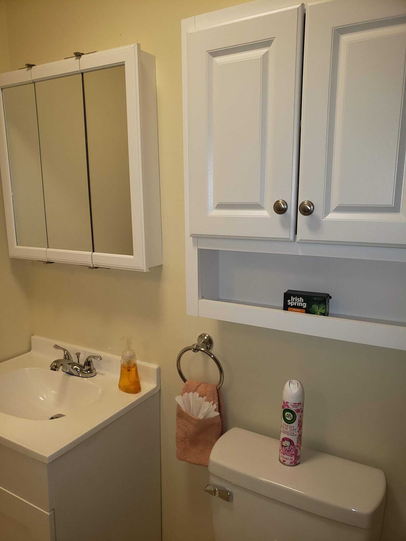 Bathroom - 1115 Thomas Rd