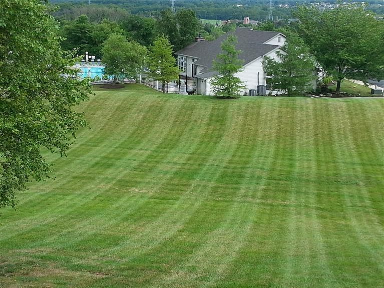 View from balcony - 8892 Eagleview Dr