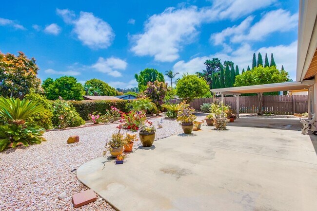 Building Photo - Single Story Oceanside Home Available July...