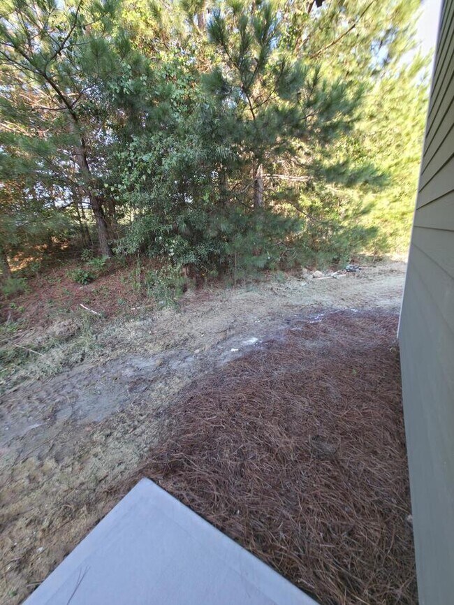 Building Photo - 29 Charlotte Pl