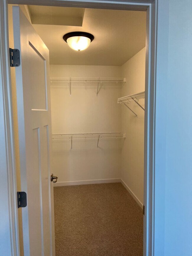 Building Photo - New 3 Bedroom/3 Bathroom House
